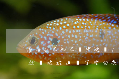 房屋在“不知不覺“中被強(qiáng)拆，竟然還被被迫簽了“空白”安置補(bǔ)償協(xié)議？！